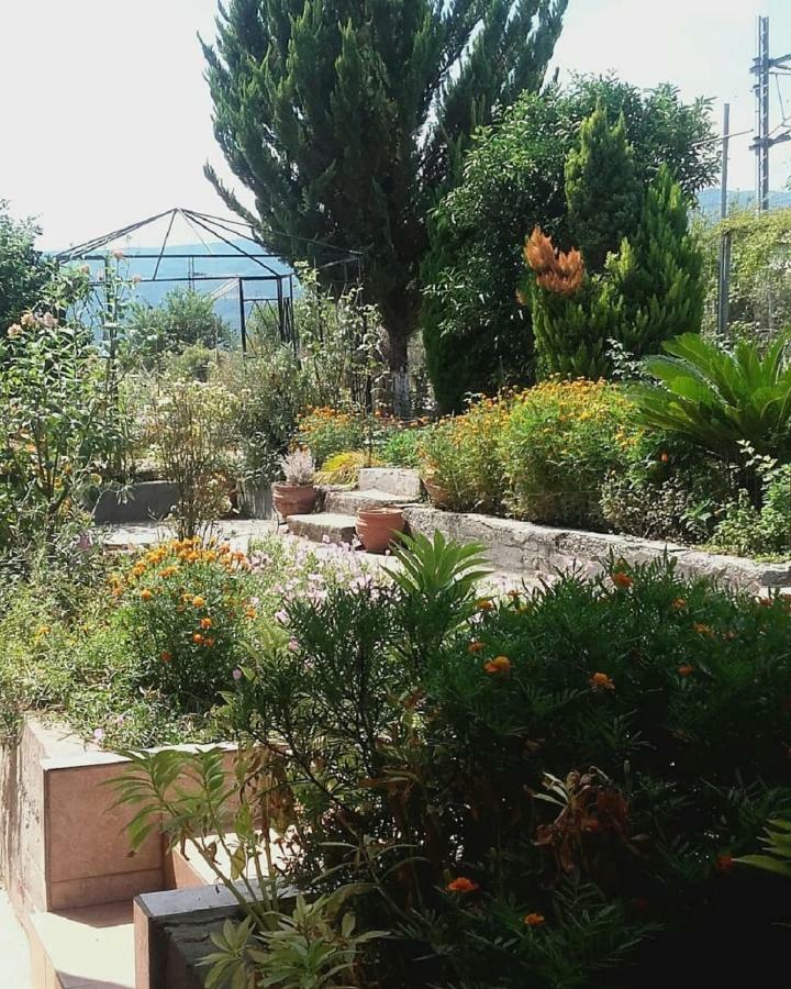 Plaza Studios Leptokaryá Ngoại thất bức ảnh