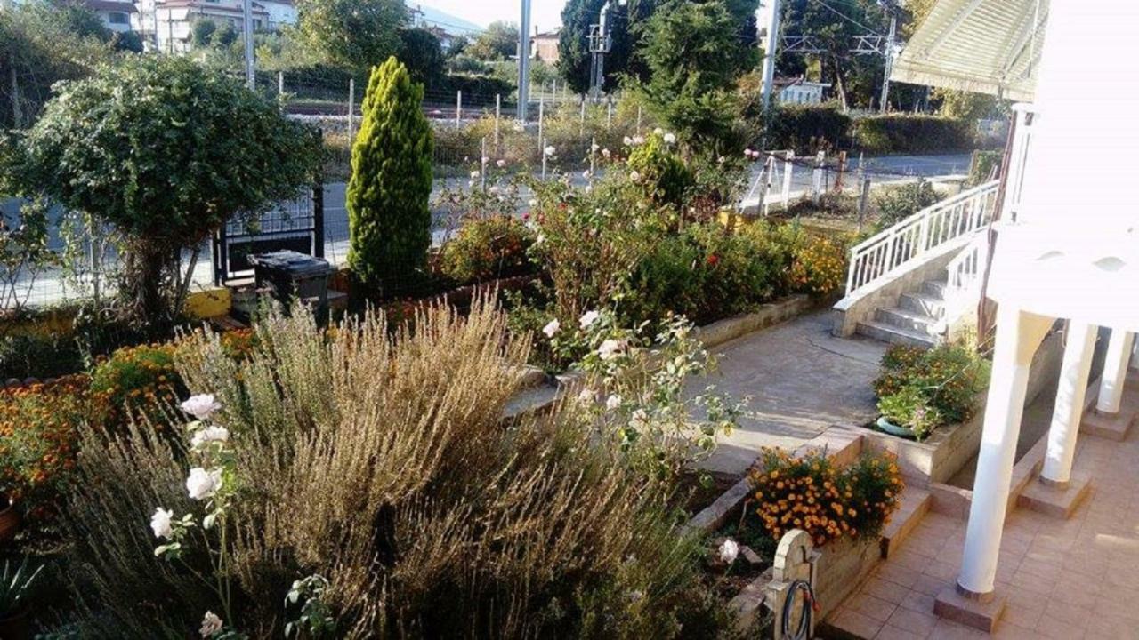 Plaza Studios Leptokaryá Ngoại thất bức ảnh
