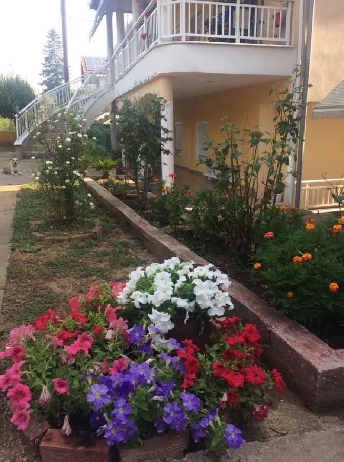 Plaza Studios Leptokaryá Ngoại thất bức ảnh